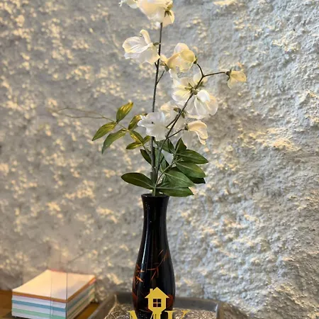 Cosy & Authentique - Centre