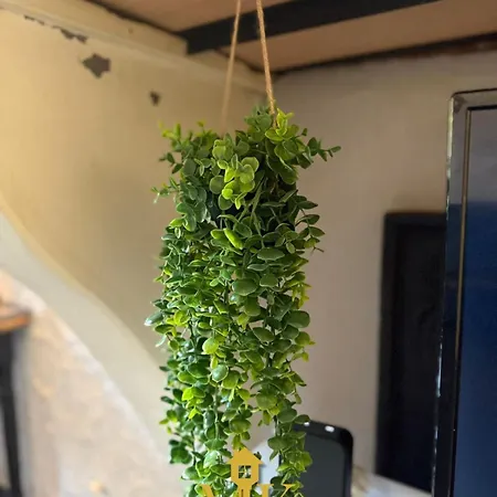 Le Cloitre Jardin Privatif, Apartment