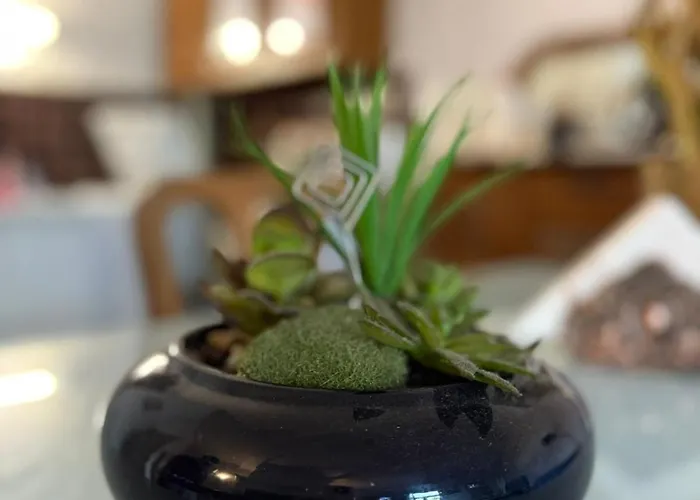 Апартаменты Cosy & Authentique - Centre