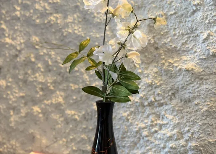 Cosy & Authentique - Centre