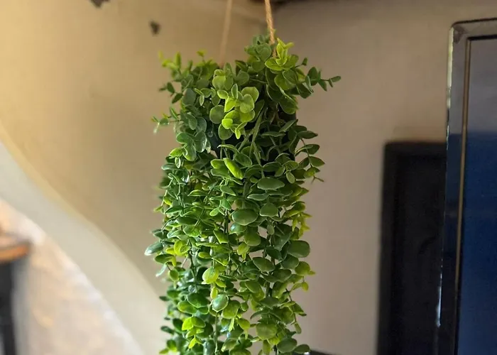 Cosy & Authentique - Centre Апартаменты